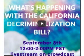 Senator Scott Wiener on Chacruna Community Forum re California Senate Bill 519 (SB519)