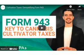Green Growth: Cultivation Taxes: Demystifying Form 943