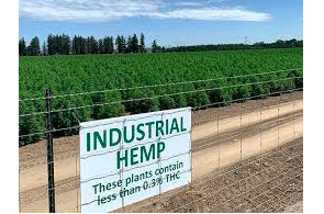 Oregon Department of Agriculture Proposes New Hemp Rules - Kim Stuck Comments
