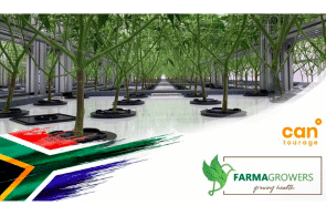 Cantourage partners with FarmaGrowers to bring the first South African medical cannabis to Germany
