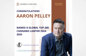 Global Top 200 Cannabis Lawyers 5th Edition 2024-2025 – LAWYERS ANNOUNCE THEIR INCLUSION IN DIRECTORY