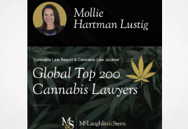 Global Top 200 Cannabis Lawyers 5th Edition 2024-2025 – LAWYERS ANNOUNCE THEIR INCLUSION IN DIRECTORY