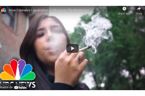 NBC News: How Cannabis Legalization Is Changing The Workplace