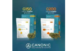 Canonic Announces Full Commercial Launch of its First Medical Cannabis Products in Israel