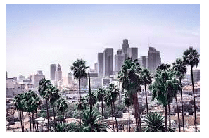 Cannabis Attorney Prime Headhunting & Recruiting, Inc. Los Angeles, CA Remote