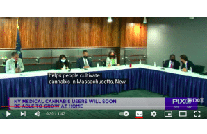 New Report: NYers can soon grow medical marijuana at home