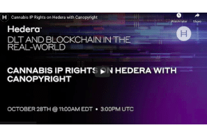 Cannabis IP Rights on Hedera with Canopyright