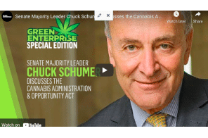 17 November: Senate Majority Leader Chuck Schumer Discusses the Cannabis Administration & Opportunity Act