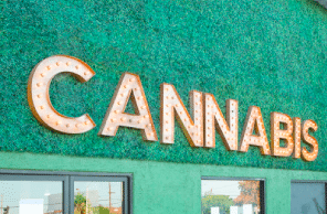 Steps to Launch Your Own Cannabis Business