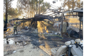 CA: Fire leads to thousands of illegal marijuana plants
