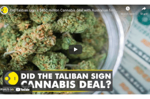 Did Taliban sign a $450 million Cannabis deal with Australian firm?