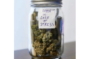 Ohio - People Keep Getting Arrested With Jars of Weed