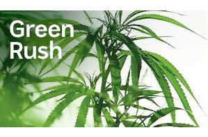 The Green Rush Is Not The Gold Rush