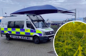 UK: Canvey: Police find cannabis farm at car wash