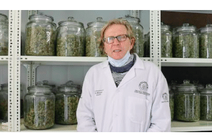 South Africa: Prof Benny Clinches Brazilian Export Order; Also Gets SAHPRA Go-Ahead to Launch Local Cannabis Products to Alleviate Anxiety
