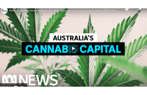 Video: How Australia's most radical cannabis laws are coping two years later | ABC In-Depth