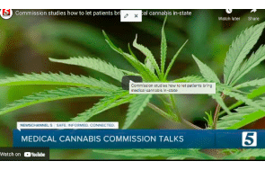 Dec 11 Tennessee: Commission studies how to let patients bring medical cannabis in-state