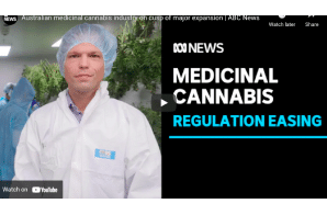 News Report - Video: December 19: Australian medicinal cannabis industry on cusp of major expansion | ABC News