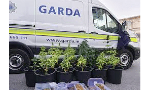 Ireland: New cannabis caution scheme sees drop in numbers charged for possession