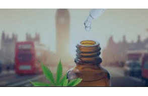 UK Government Narcotics Advisors Recommend 0.05mg THC Limit For CBD Products