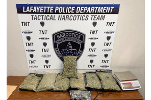 USA: New Iberia resident arrested after Lafayette Police recover $69,000 in marijuana following narcotics investigation