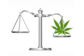 Cannabis Real Estate Dev./Regulatory, Licensing and Public Affairs Attorney Canna Zoned
