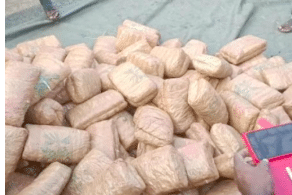 India: 460 kg of ganja seized from Kodakara......