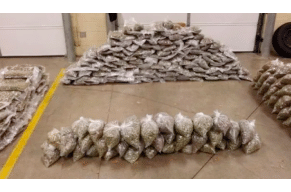 Oregon: 270+ pounds of pot, cash seized from Salem-Keizer homes