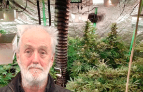 UK: Poole 63 year old stage worker had cannabis factory at home after work dried up