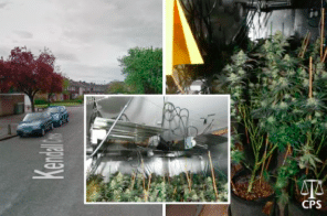 UK - Oxford: £140k cannabis haul inside north Oxford house
