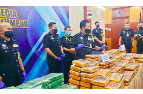 Married couple found with 242kg of cannabis