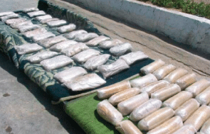 Iran: Close to 20 tons narcotics seized in Alborz province