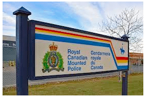 Canada: RCMP seize 440 cannabis plants worth $440K during Alberta traffic stop