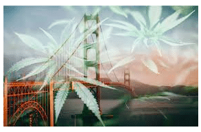 Marijuana Delivery & Dispensary Laws In California