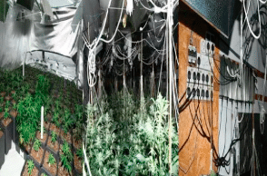 UK: £750,000 cannabis farm found due to dangerous wiring