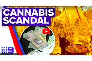 Six real estate agents charged over COVID-19 fraud and cannabis cultivation | Coronavirus | 9 News Australia