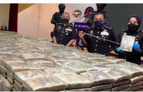 Malayasian police seize 1.3 tonnes of cannabis in Selangor raids