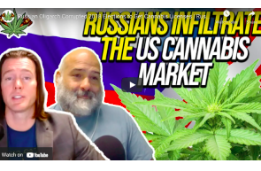 Russian Oligarch Corrupted 2018 Elections to Get Cannabis Licenses | Russian Cannabis News Today