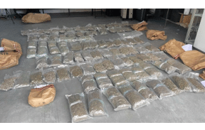 Australia: Townsville police uncover cannabis and ice worth $1.5m in suitcases at ferry terminal