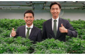Thailand: Medicana to invest B120m in hemp farm