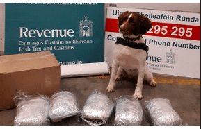 Ireland: Detective dog Waffle sniffs out €90k worth of herbal cannabis in parcel labelled 'books'