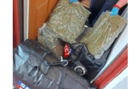 UK: Three arrested during early morning drugs raids in York