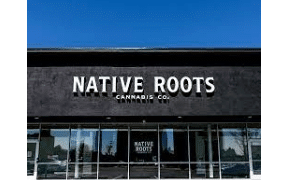 Colorado:  Judge Throws Out Native Roots Award  To founders Josh Ginsberg and Rhett Jordan - Back To The Drawing Board?