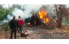 NDLEA destroys 21 tonnes of Indian hemp, others in Niger