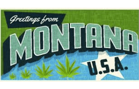 Montana: A baker's dozen counties, both urban and rural, approved local-option taxes on recreational cannabis sales in Tuesday's primary election.