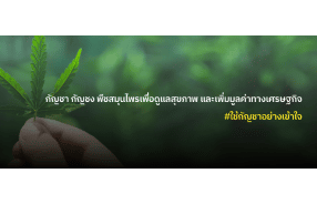 Thursday 9 June: Thai Cannabis Registration Website Overwhelmed By Over 100,000 Applicants In A Day