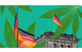 Germany: Ten New German Government Positions For Cannabis Legalization Announced
