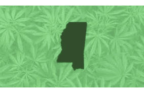 Only In The South: The Mississippi Supreme Court Ruled To Uphold a Life Sentence Prison Term For a Man In Possession Of FEWER THAN TWO OUNCES Of Cannabis