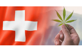 Swiss To Lift Ban On Medical Cannabis 1 July 2022