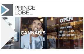 NY: Prince Lobel's New Cannabis Practice Sends Out Inaugural Newsletter